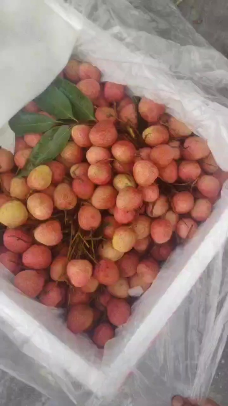 越南荔枝