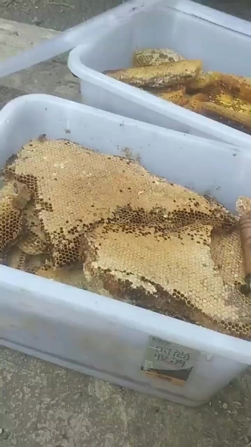 ***野生蜂蜜
