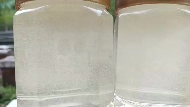 陇南天然槐花蜜，纯正原生态，香甜润心田！