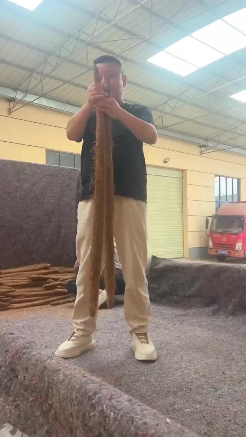 山药种植基地