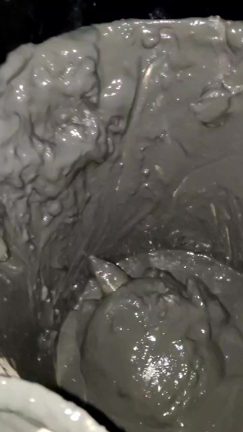 甲鱼