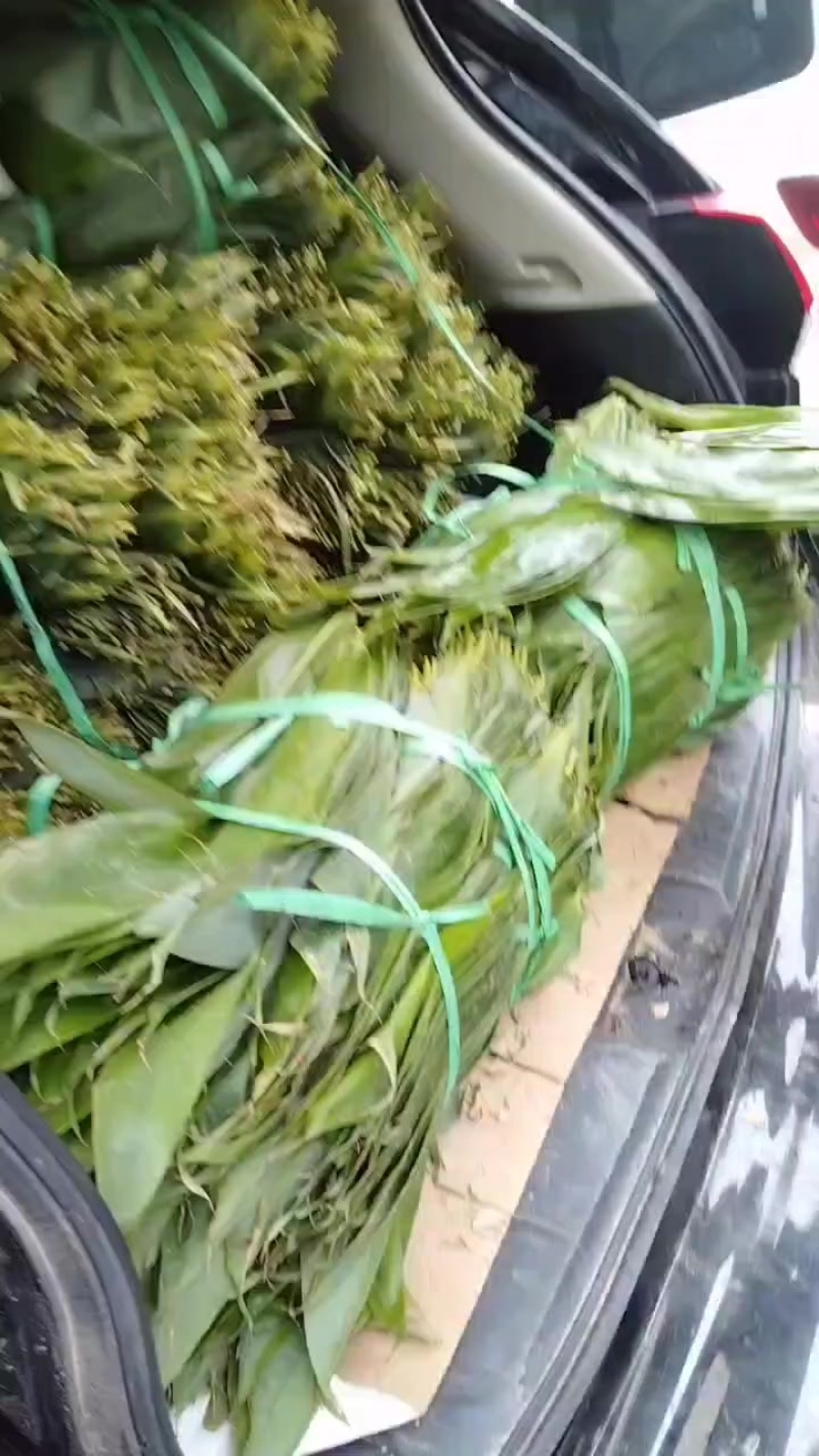 粽叶