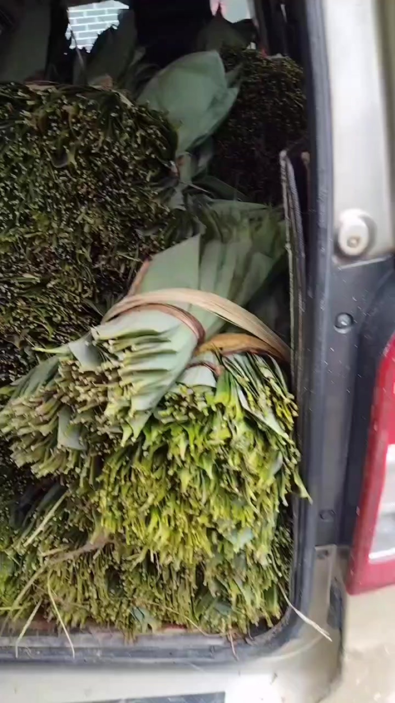 粽叶