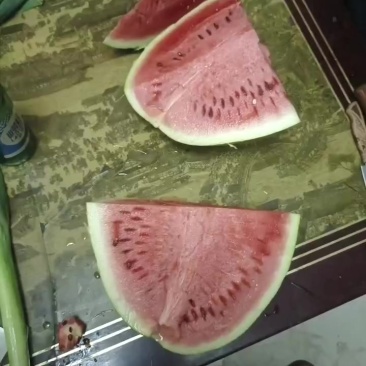 甜王西瓜