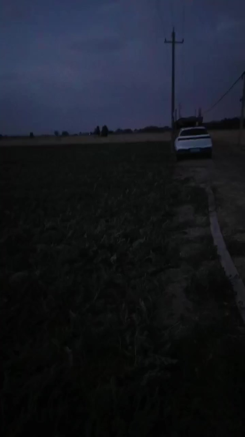 甜王西瓜