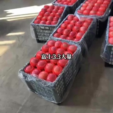 红富土苹果