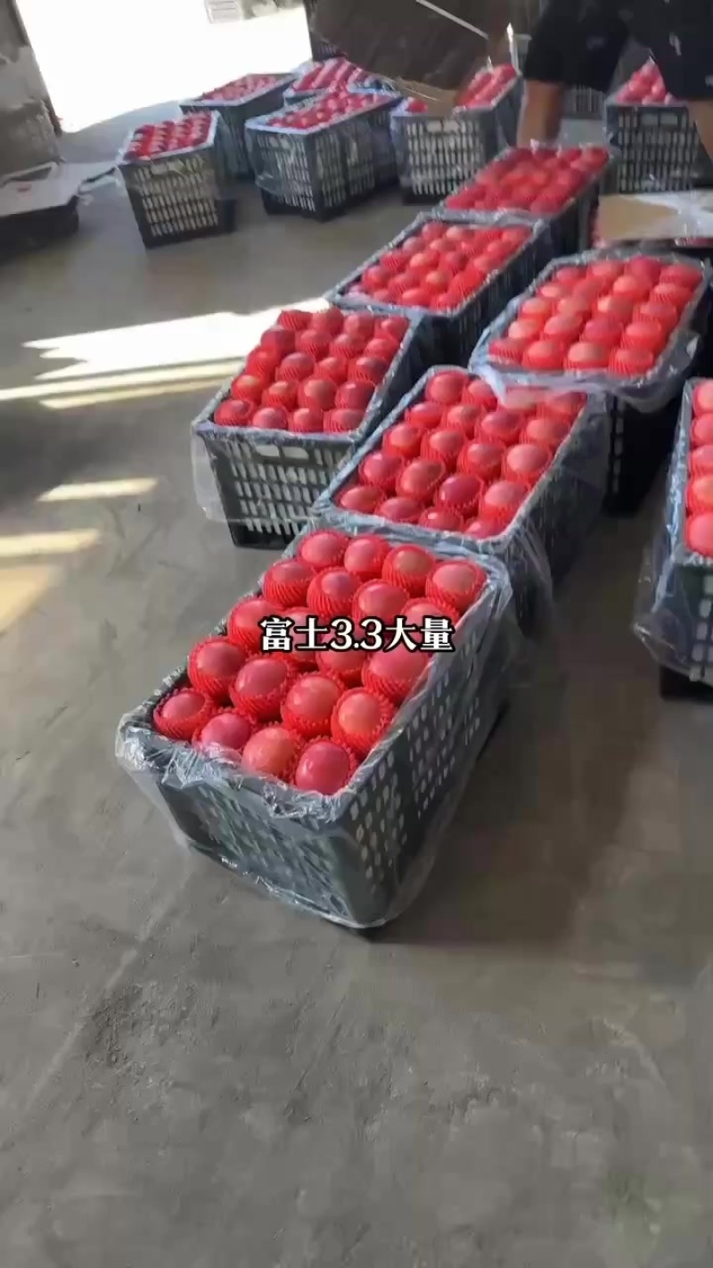 红富土苹果