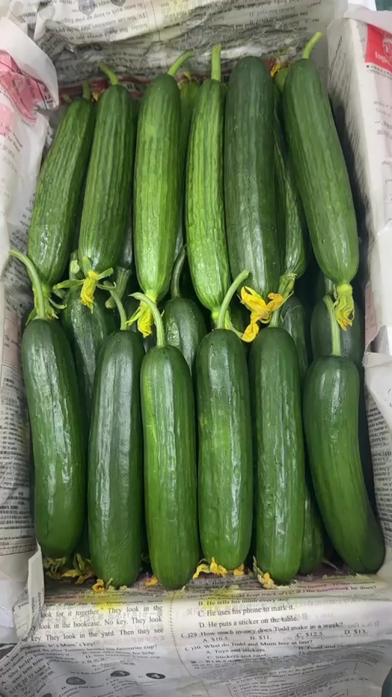 小青瓜