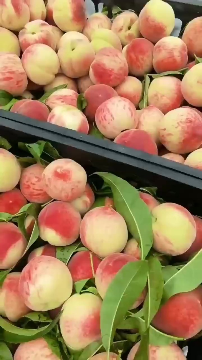 垛子本地桃