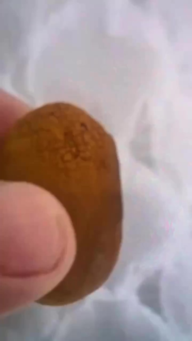 天然牛黄