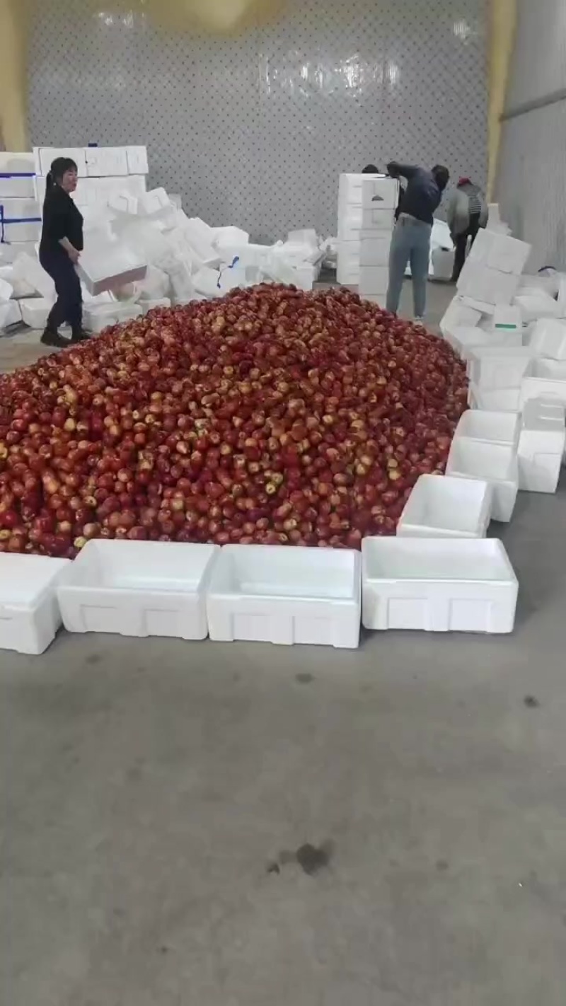 诚信果品，欢迎骚扰