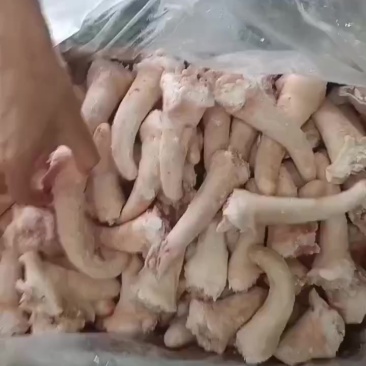二级猪短尾长期有货质量好厂家新货可以视频看货