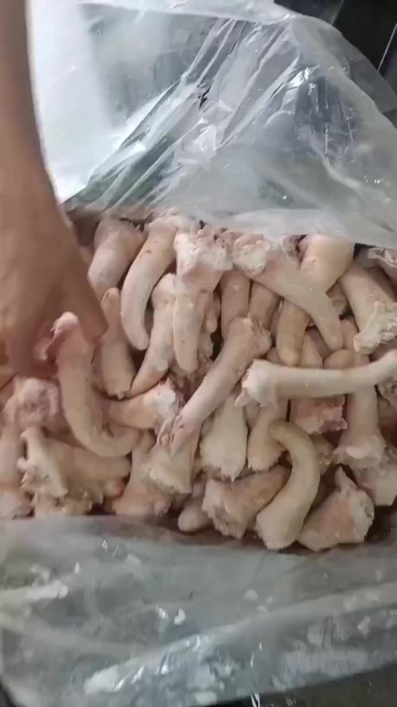 二级猪短尾长期有货质量好厂家新货可以视频看货
