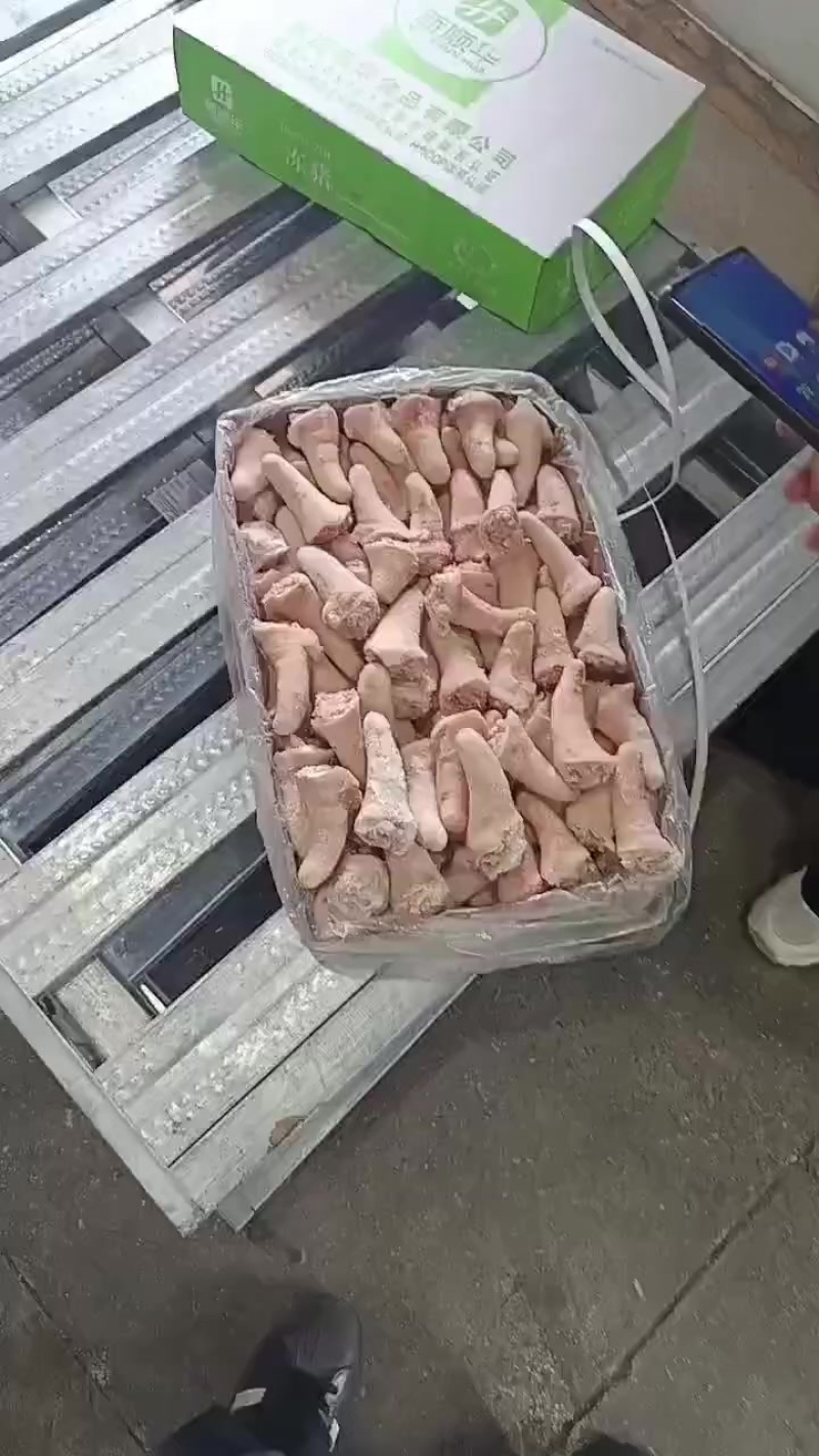 二级猪短尾长期有货质量好厂家新货可以视频看货