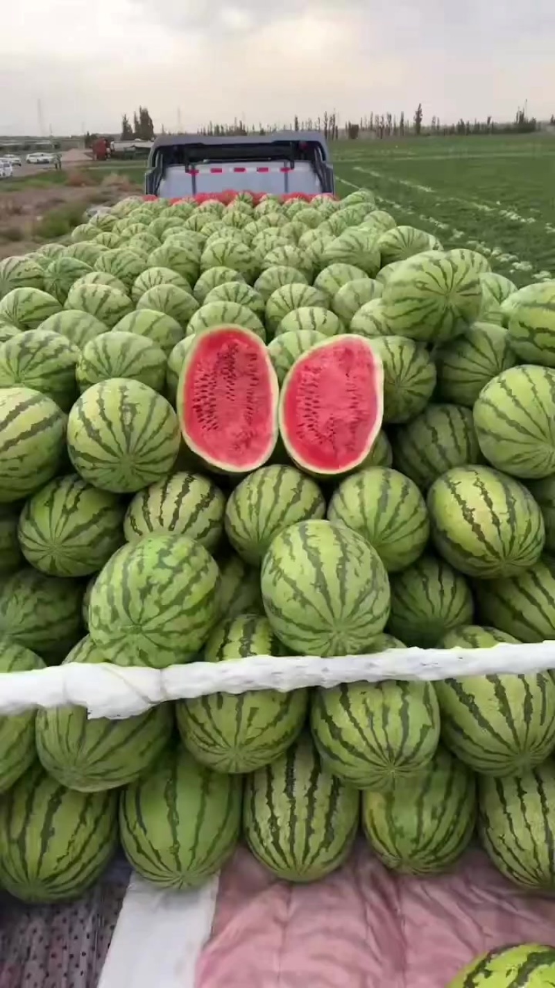宁夏石头瓜