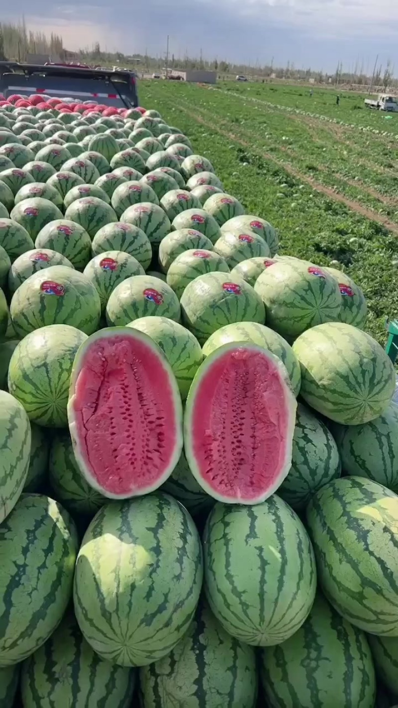 宁夏石头瓜