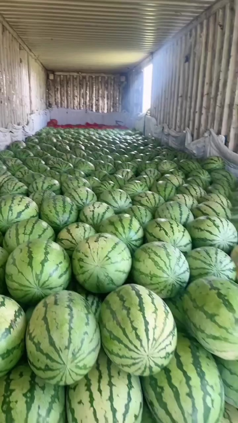 宁夏石头瓜