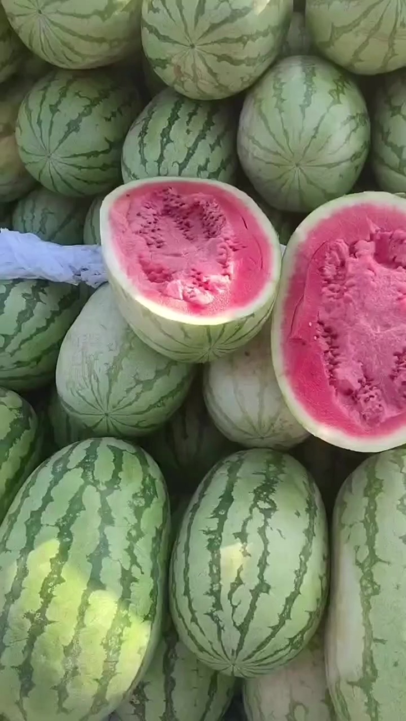 宁夏石头瓜