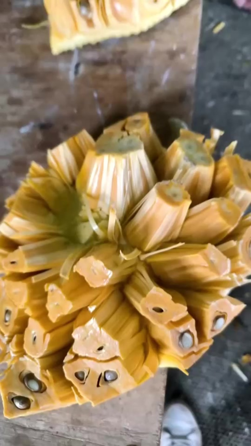 海南红肉菠萝蜜