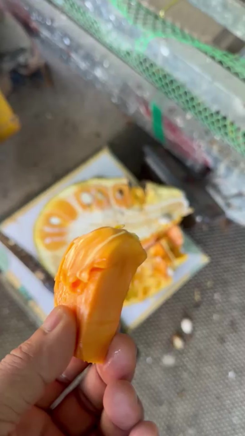 海南红肉菠萝蜜