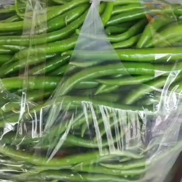 三号线椒
