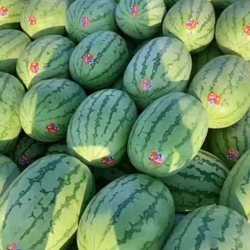 西瓜