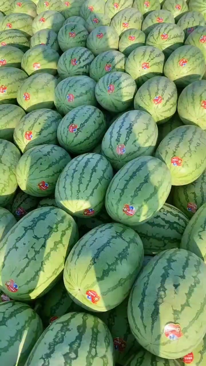 西瓜