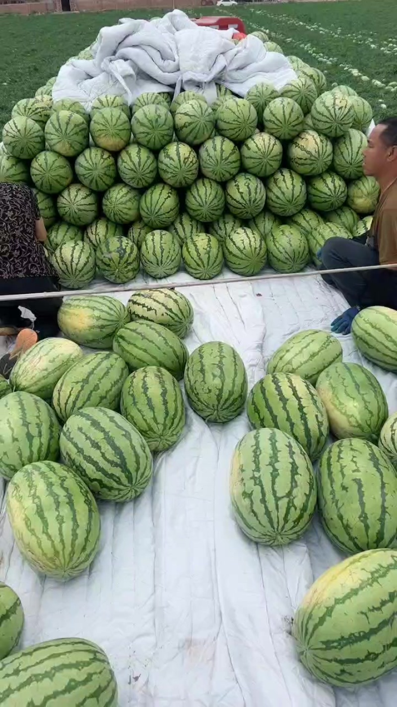 西瓜