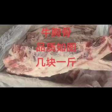 牛胸骨