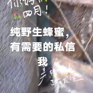 野养土蜂蜜