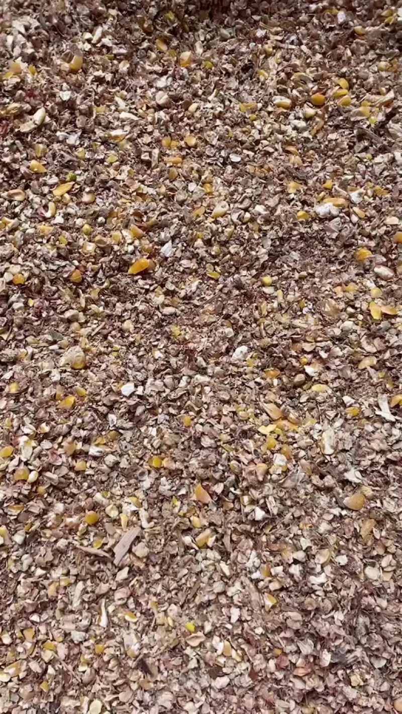 八个粮碎玉米