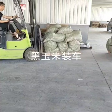 真空独立包装，降价处理，毛毛钱，大量现货