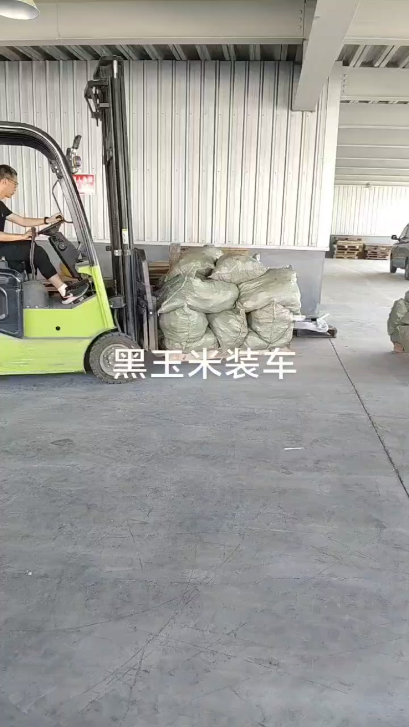 真空独立包装，降价处理，毛毛钱，大量现货