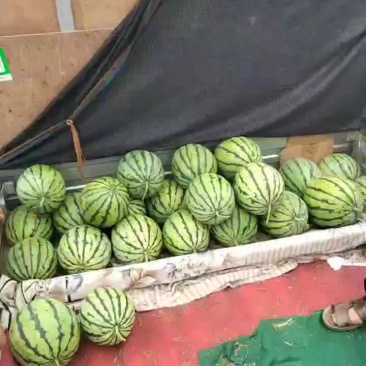 潼南露天美都