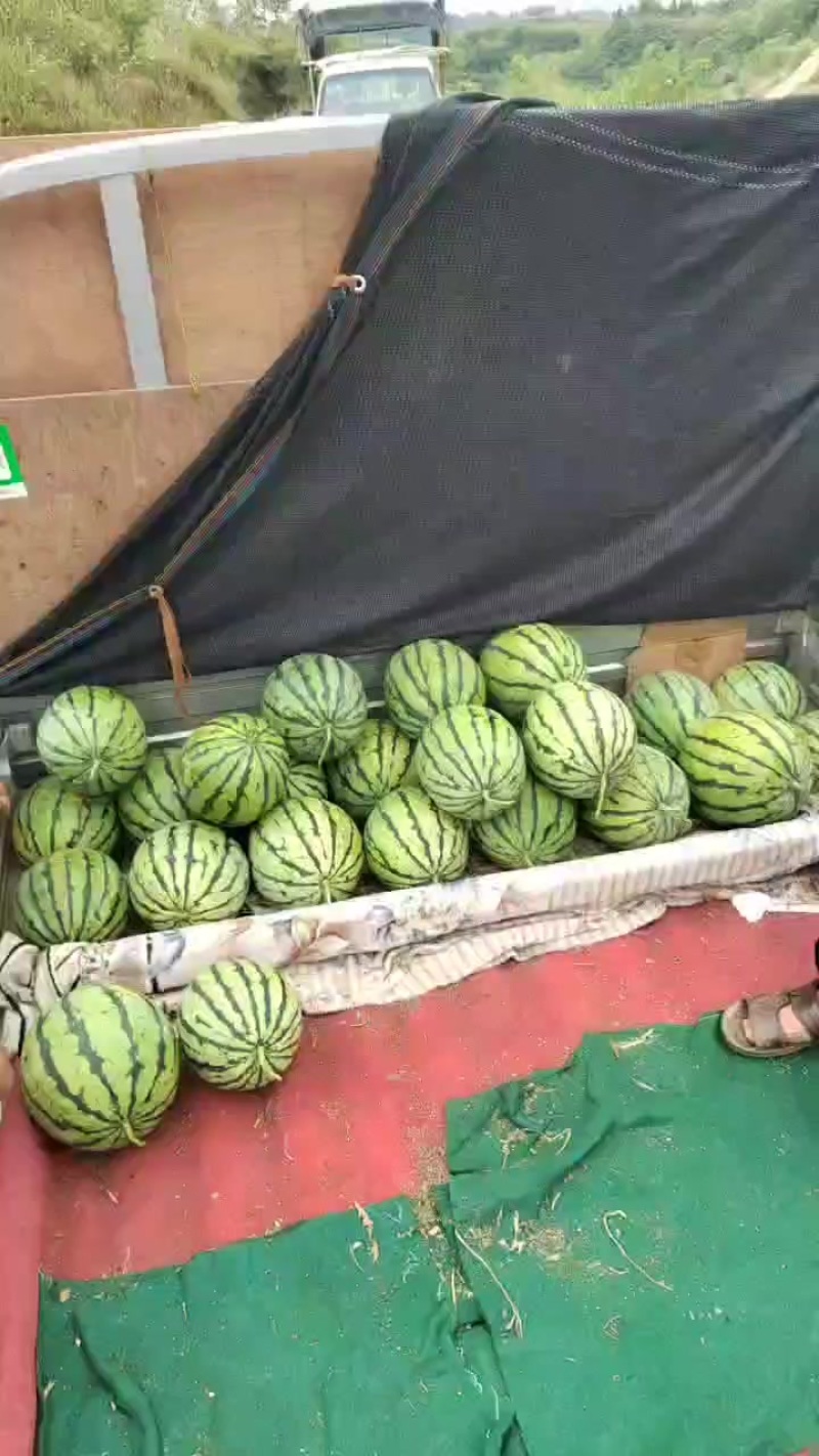 潼南露天美都