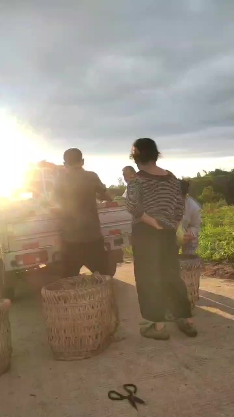 潼南露天美都