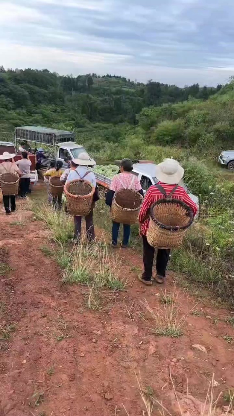 潼南露天美都