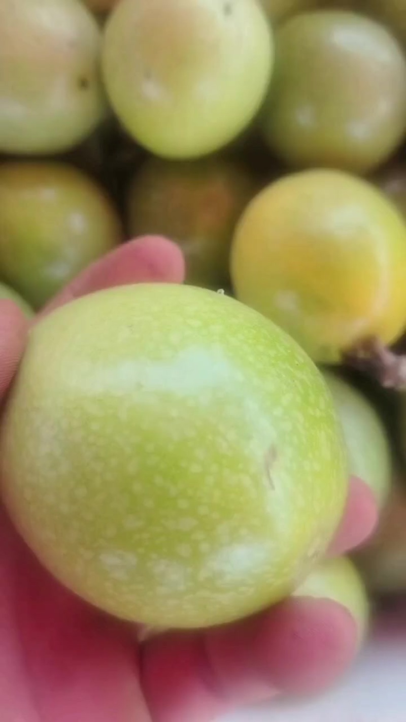 百香果