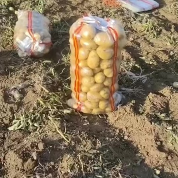精品实验一