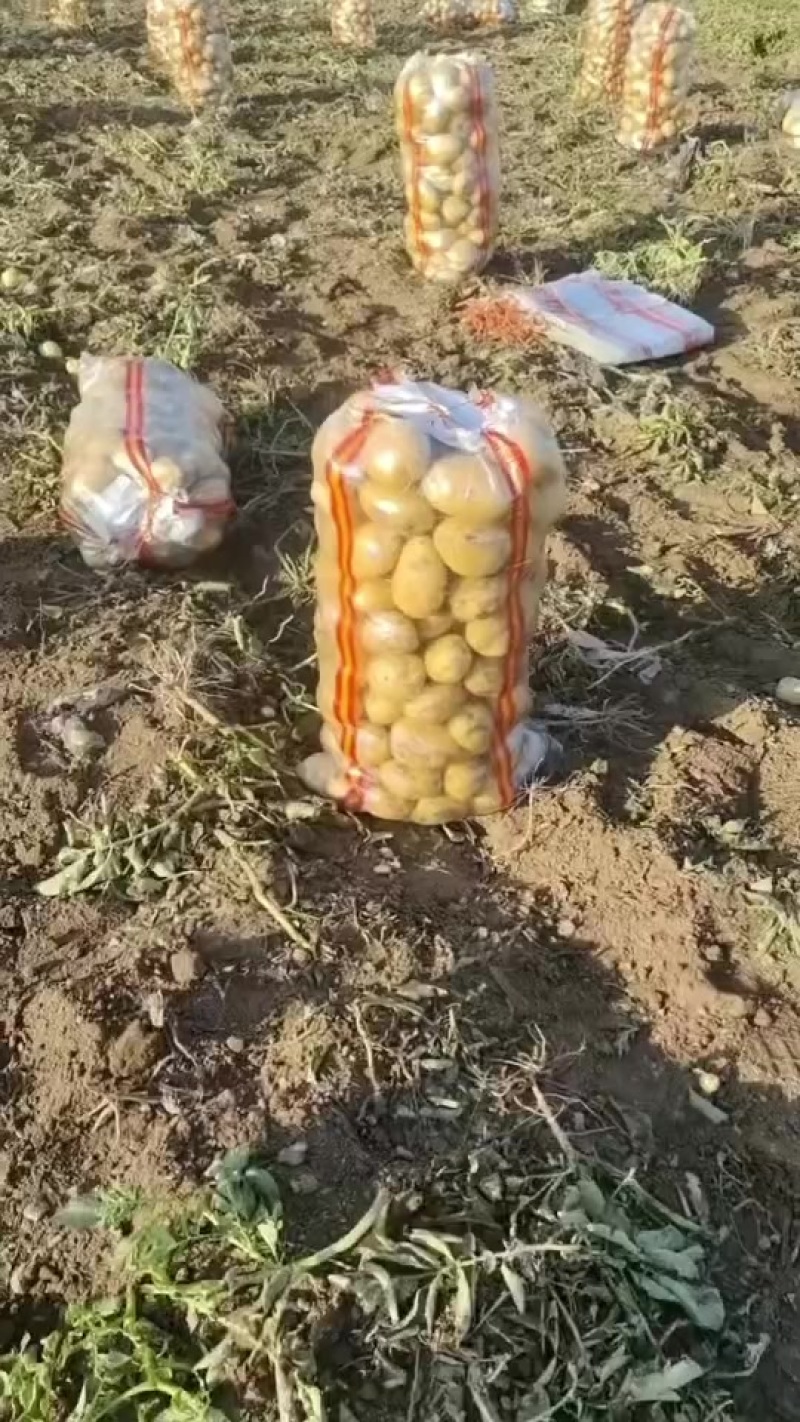 精品实验一