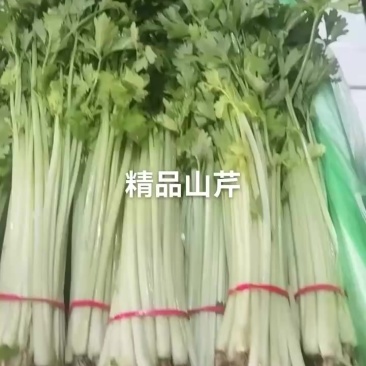 香芹