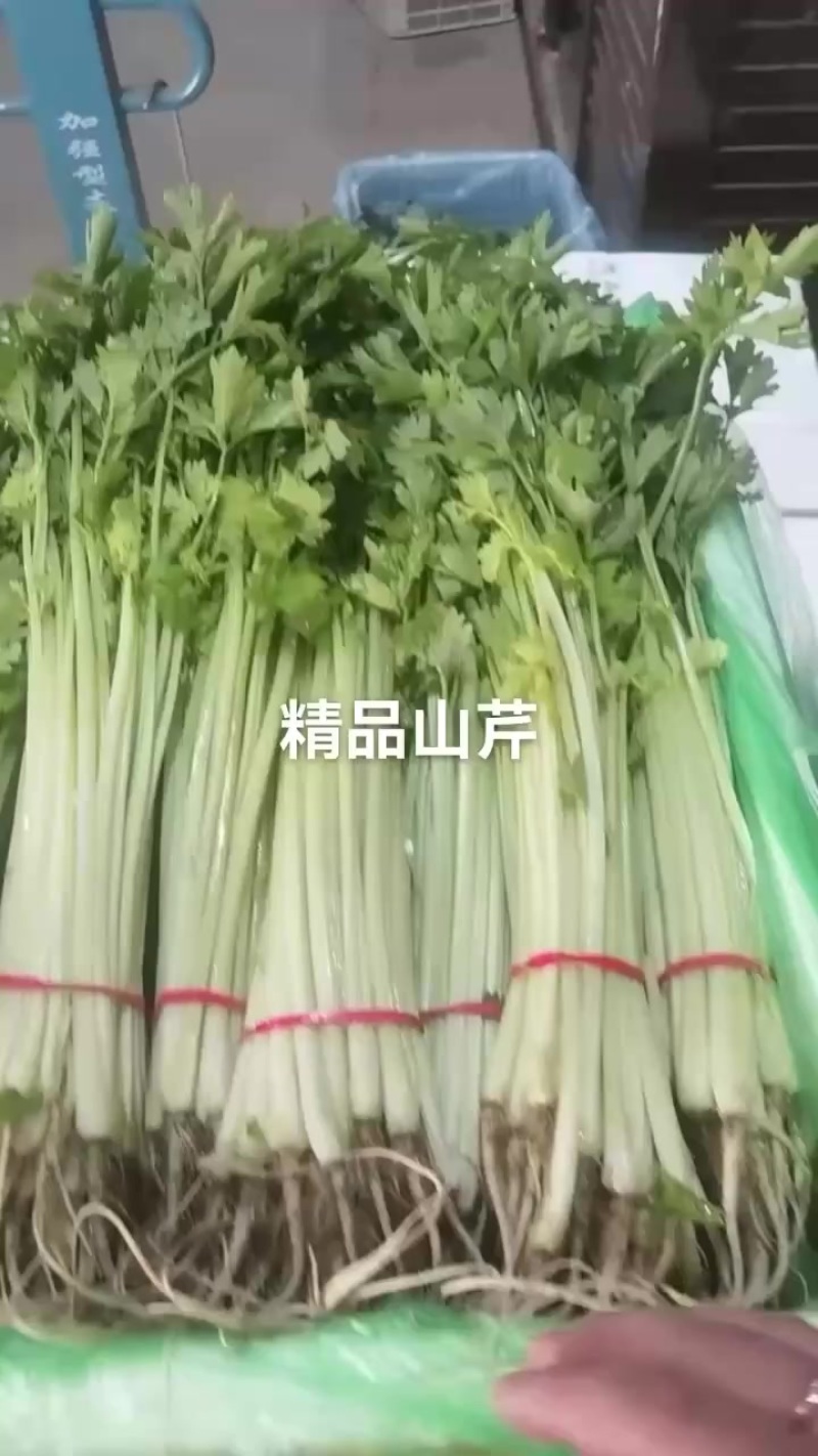 香芹