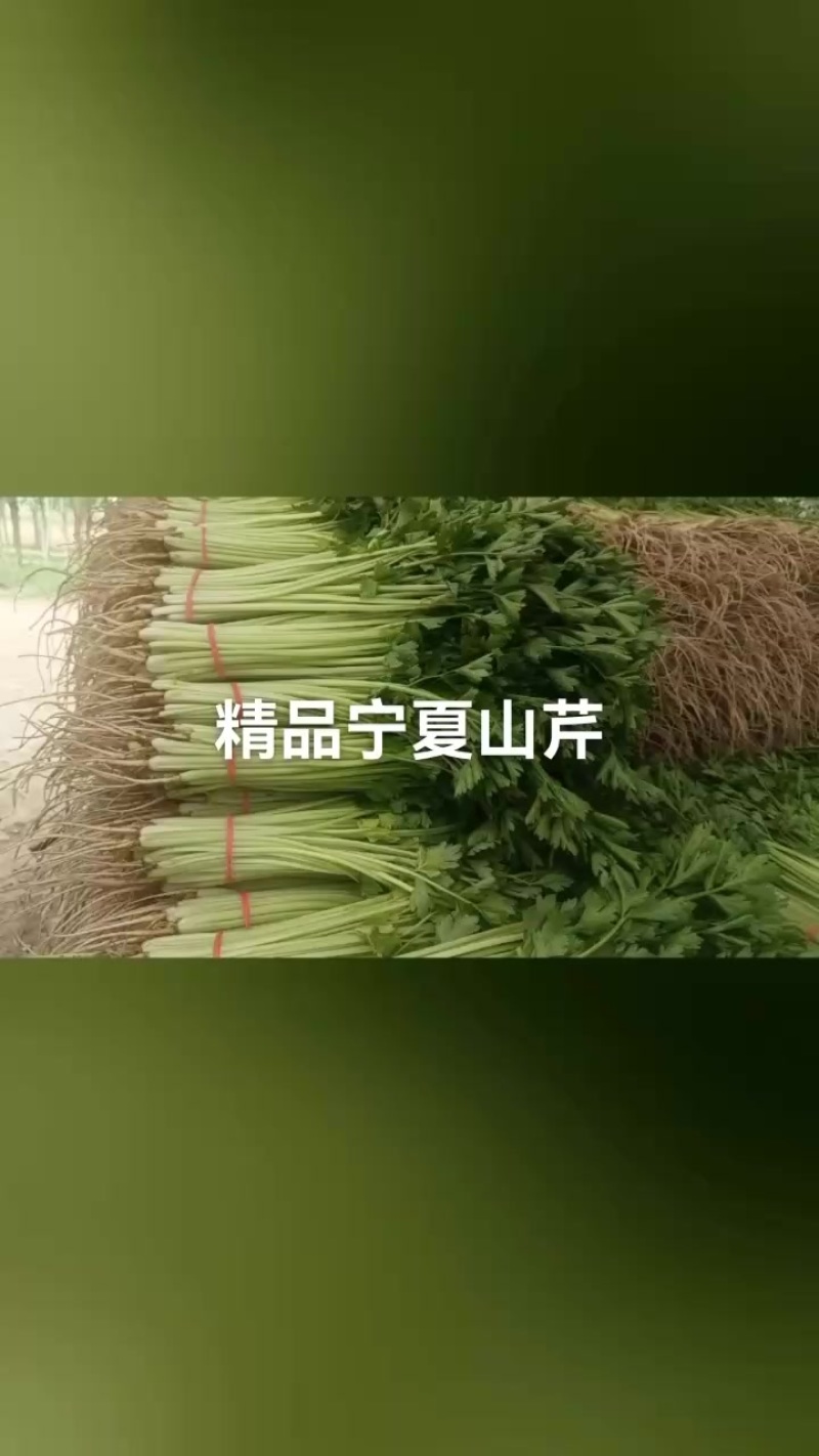 香芹