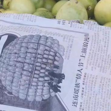 百香果供应商