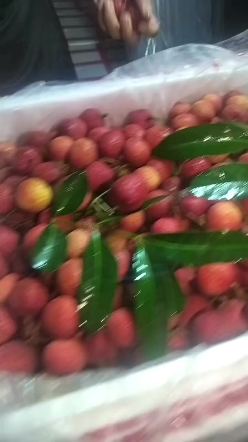 荔枝