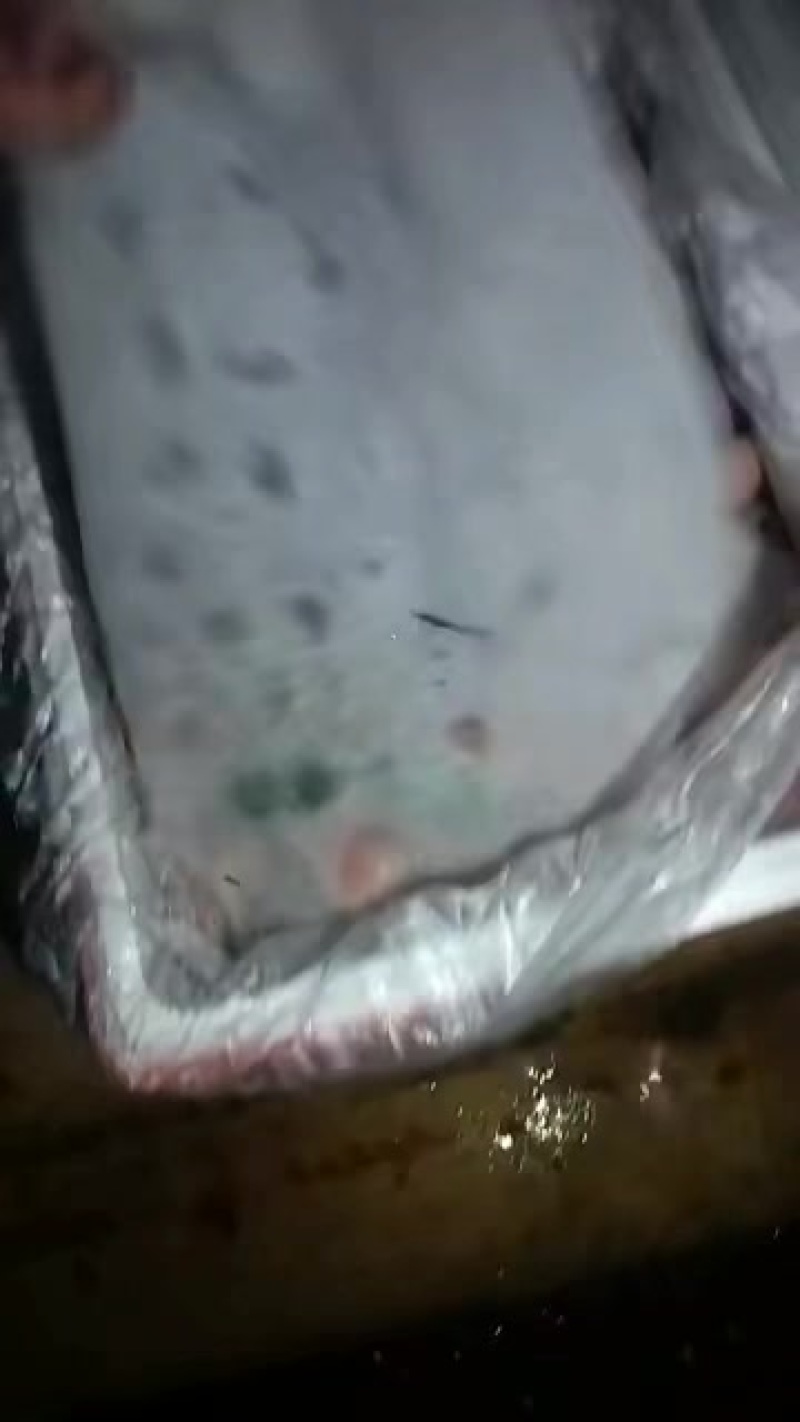 荔枝