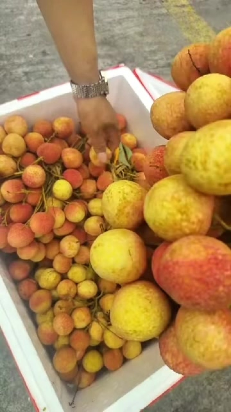 荔枝