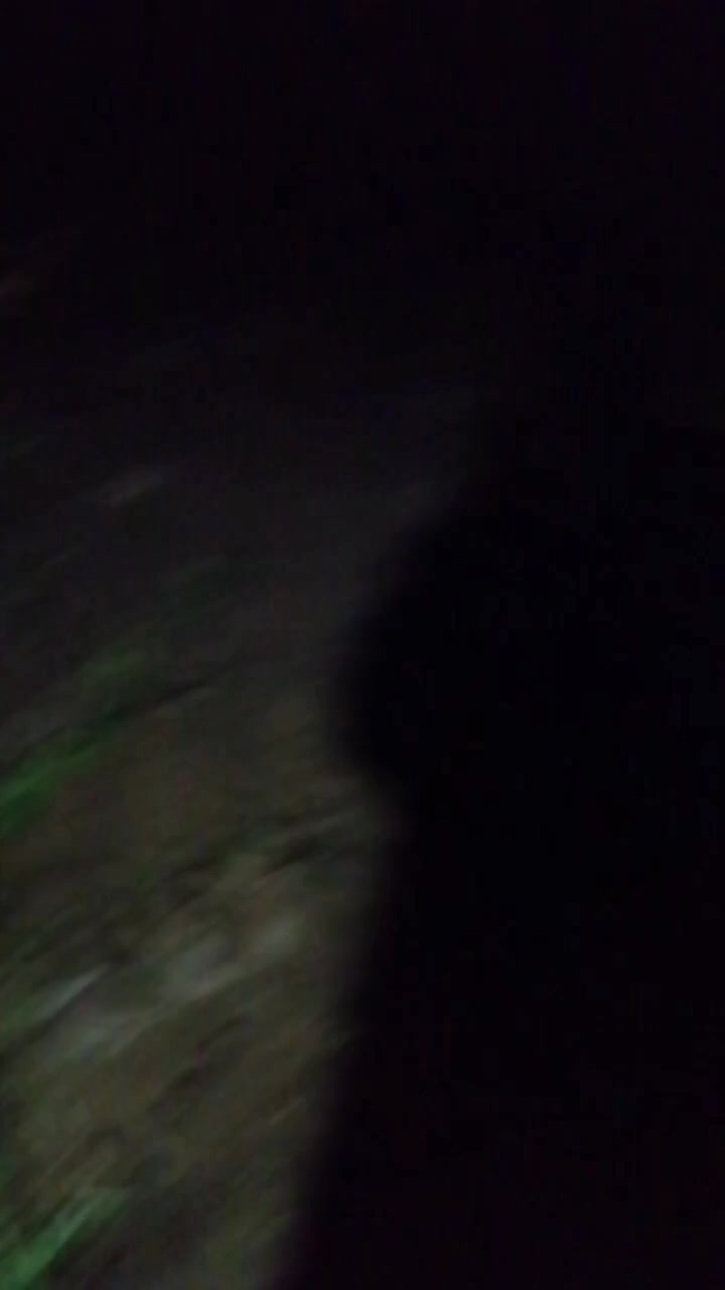 河北保定定州土豆大量上市要的联系我荷兰十五，系列，沃土豆
