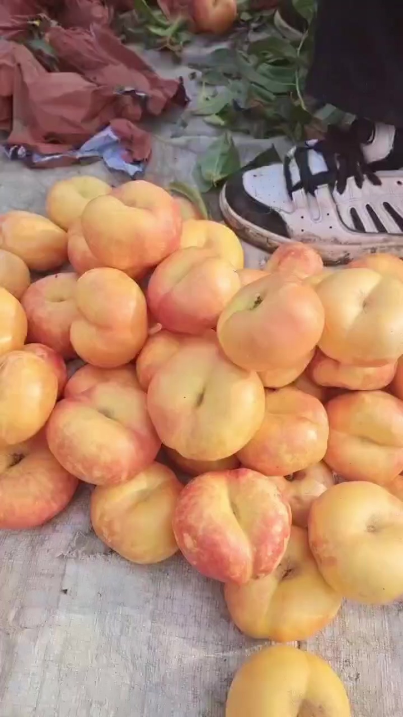 油蟠桃2至5两