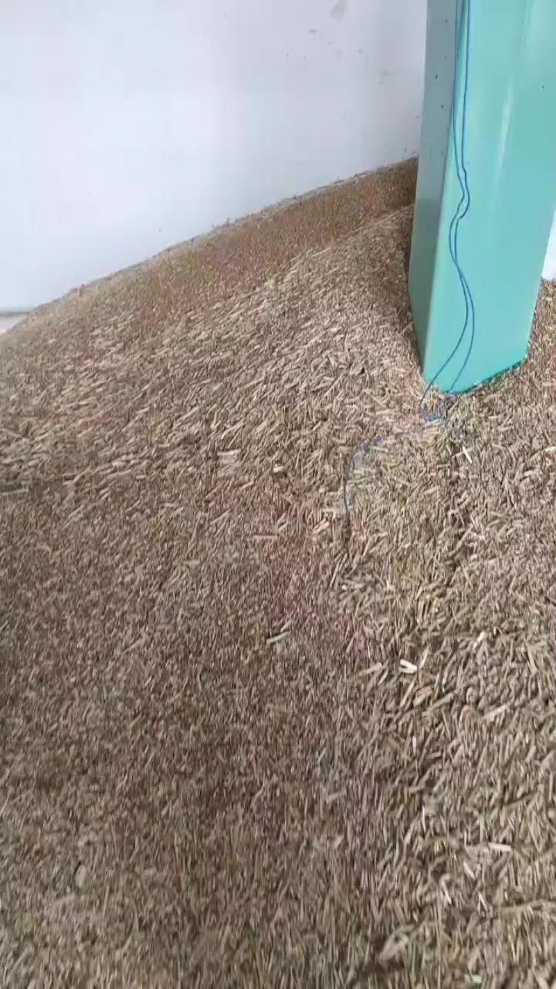 小麦